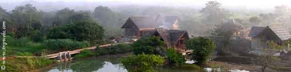 Eco Holiday in Sri Lanka