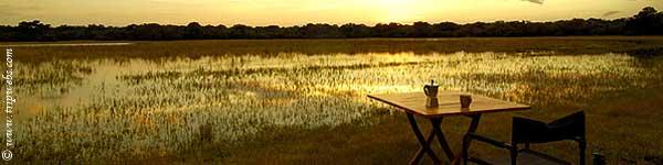 Eco Holiday in Sri Lanka